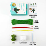 Twist Art Floral Kit (Cactus-Chenille)