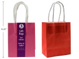 Gift Bags-Small w/ Twisted Paper Handle  (Kraft Paper) 2 Asst.Colours  3ct.