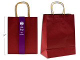 Gift Bags Red-Medium w/Twisted Paper (Kraft Paper) 2ct.