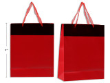 Metallic Foil Border Matte Giftbag - Medium. Organza Ribbon Handle w/Gift Tag.