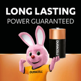 Batteries Duracell D-2ct.