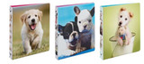 Binder 1" Dogs Friends