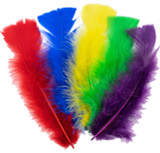 Feathers Assorted Colors 11g
