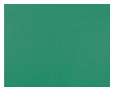Poster Board-4 Ply 22" x 28" Holiday Green