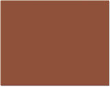Poster Board-4 Ply 22" x 28" Brown (25/Pack)