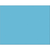 Poster Board-4 Ply  22" x 28" Light Blue (25/Pack)