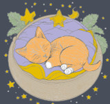 Canvas Painting Set-Dreamy Whiskers