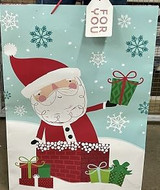 Gift Bags Xmas/Assorted Designs