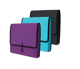 Expanding File 13 Pockets 13 x 9.45"