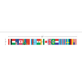 Border-International Flags/Straight