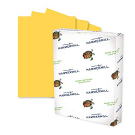 Paper-Letter Goldenrod 20 lb