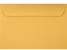 Kraft Envelopes 6" x 9" 500 Box