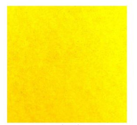 Felt 10 Pack-Yellow