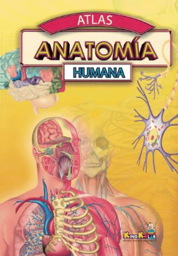 Human Anatomy Atlas