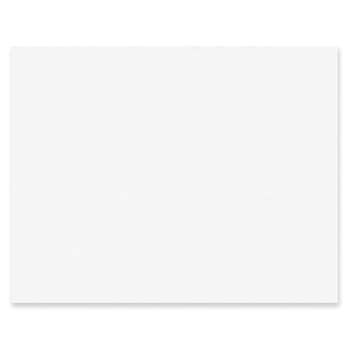 Poster Board-4 Ply 22" x 28" White*