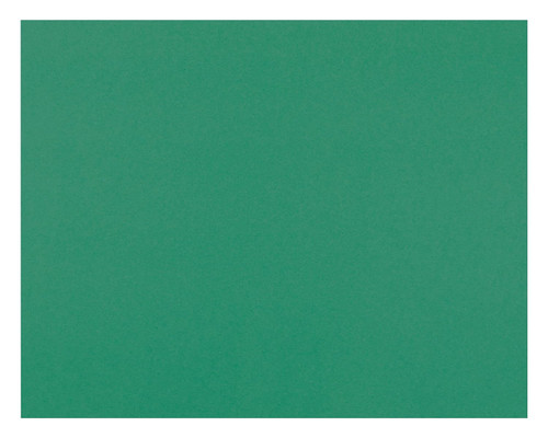 Poster Board-4 Ply 22" x 28" Holiday Green