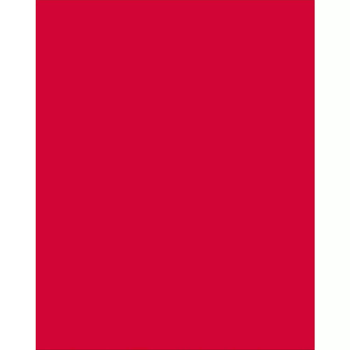 Poster Board-4 Ply 22" x 28" Red