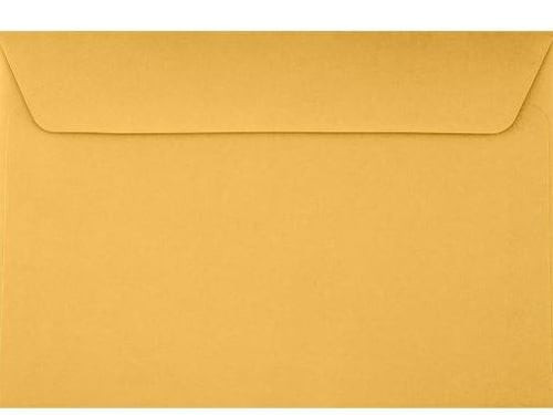 Kraft Envelopes 6" x 9" 500 Box