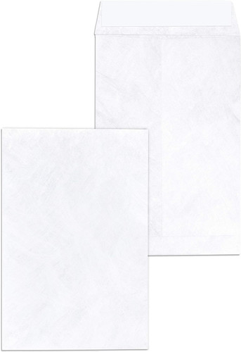 Tyvek Envelopes 6 x 9" 20Pk