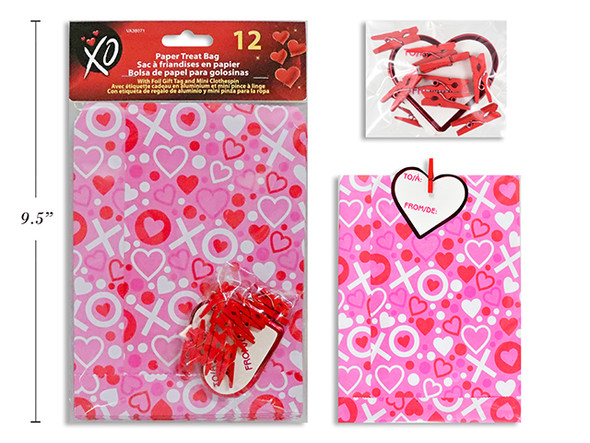 Set/12 7.25in x 5-1/8in V'tine Paper Treat Bag w/ Foil Gift Tag + Mini Clothespin. 2 Asst. pbh.