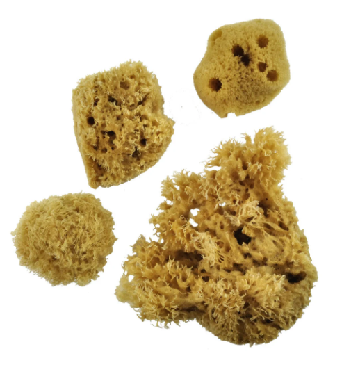 Sponge Set 4ct.