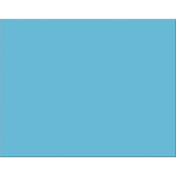 Poster Board-4 Ply  22" x 28" Light Blue (25/Pack)