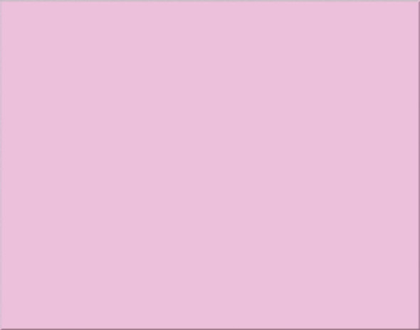 Poster Board-4 Ply 22" x 28" Pink