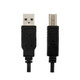 USB Cable 6' 2.0 AM/BM