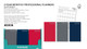 Planners-2 Years Solid Colors (Size: 3.75" W x 6.38"H)