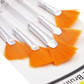Brush Set-Fan Bristles w/Clear Handle 5ct.