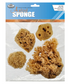 Sponge Set 4ct.