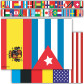 Border-International Flags/Straight