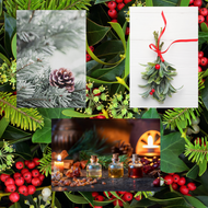 Happy Holiday Herbs: History, Tradition, and Uses