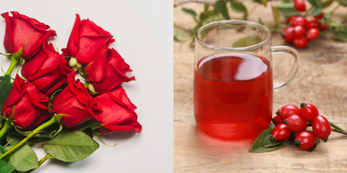 Roses vs Rosehips: What is the difference?