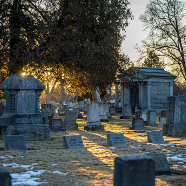 Honoring Your Ancestors