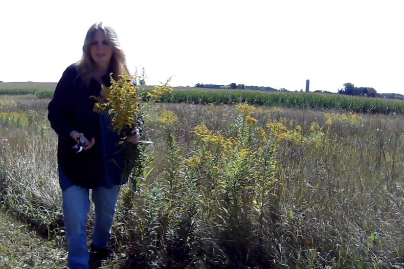 Rooted & Rising: What’s Next for Herban Herbalist