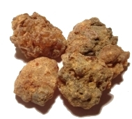 Myrrh Commiphora myrrha resin illustration
