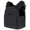CYCLONE PLATE CARRIER BERRY COMPLIANT
