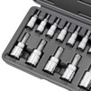 14-Piece Tamper Proof Torx Bit Socket Set, Security Torx TT8 to TT60, S2 Steel Bits, CrV Sockets, 1/4 in. 3/8 in. 1/2 in. Drive, Durable Case, Genuine Licensed Torx