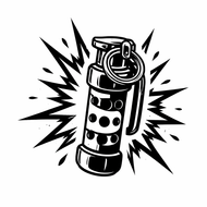 Flash Bang Training Aids