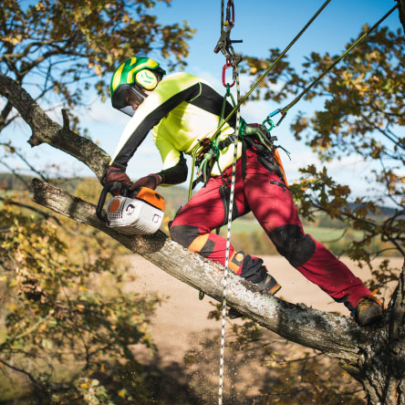 Husky Arborist Bull Rope