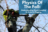 Physics of the Fall: Understanding Shock Loading in Arborist Rigging