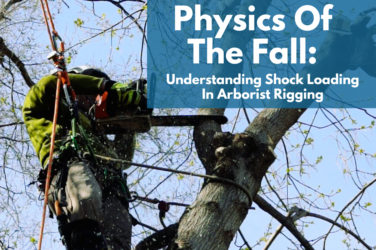 Physics of the Fall: Understanding Shock Loading in Arborist Rigging thumbnail image