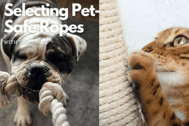 Selecting Pet-Safe Ropes: What Materials Are Best for Your Furry Friends?
