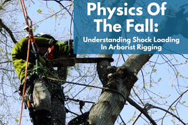 Physics of the Fall: Understanding Shock Loading in Arborist Rigging