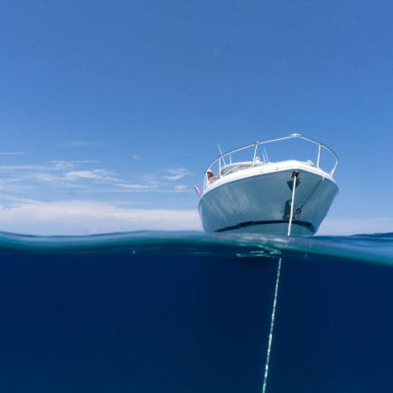 Mooring Lines