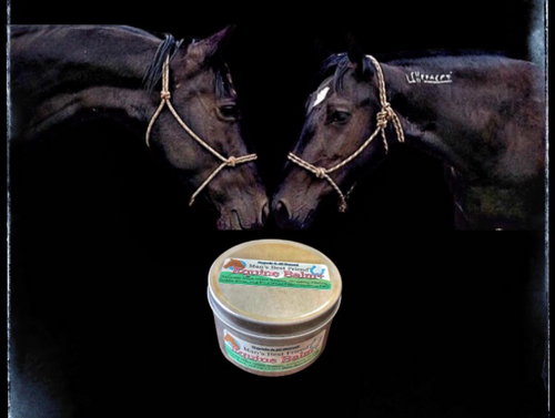 Man's Best Friend™ Equine Balm +™ Organic Healing Salve for Horses – Fast Relief for Rain Rot, Scratches, Cuts, Sweet Itch & Wounds | 100% Natural, Chemical-Free, Lick-Safe 6 oz