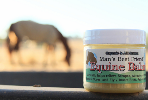 Man's Best Friend™ Equine Balm +™ Organic Healing Salve for Horses – Fast Relief for Rain Rot, Scratches, Cuts, Sweet Itch & Wounds | 100% Natural, Chemical-Free, Lick-Safe 1.5 oz 