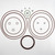 Bobcat T450 Hydraulic Drive Motor Seal Kit - Partial replacement for OEM Part Numbers 7255542, 7322754, 7255578