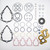 Drive Pump Seal Kit for New Holland LS180B Skidsteer (1)